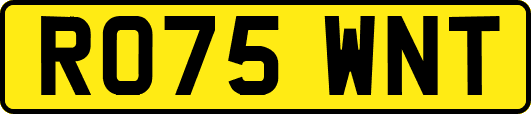 RO75WNT