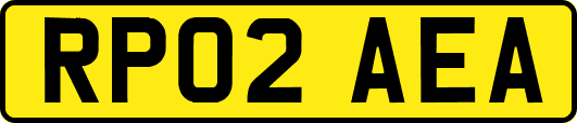 RP02AEA