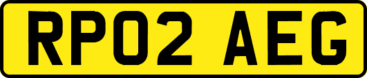 RP02AEG
