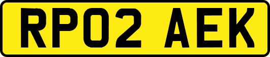 RP02AEK