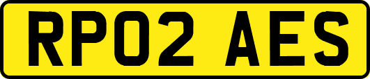 RP02AES