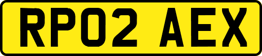 RP02AEX