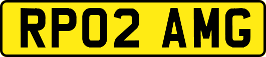RP02AMG