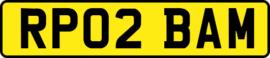 RP02BAM