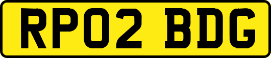 RP02BDG
