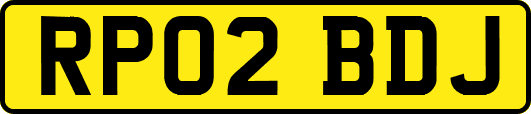 RP02BDJ