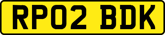 RP02BDK