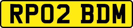RP02BDM