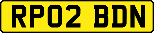 RP02BDN