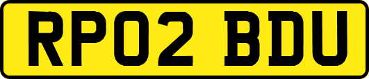 RP02BDU