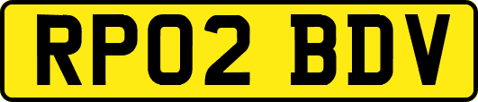 RP02BDV