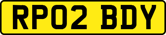 RP02BDY