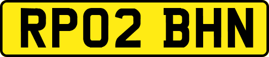 RP02BHN