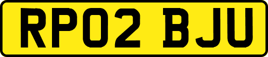 RP02BJU