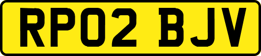 RP02BJV