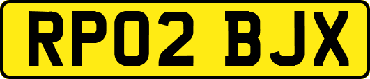 RP02BJX