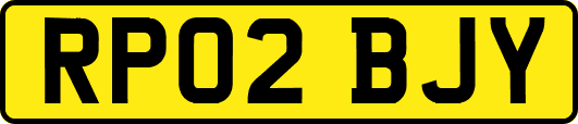 RP02BJY