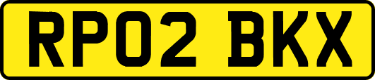 RP02BKX