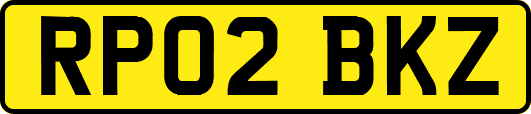 RP02BKZ