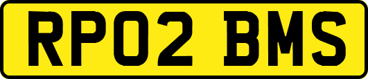 RP02BMS