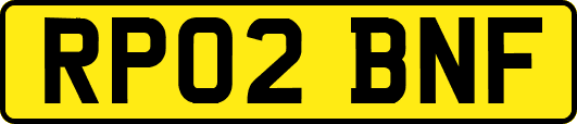 RP02BNF
