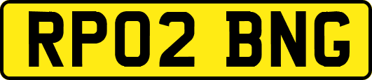RP02BNG