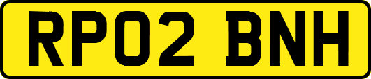 RP02BNH