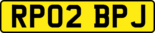 RP02BPJ