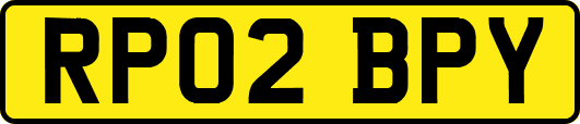 RP02BPY