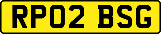 RP02BSG