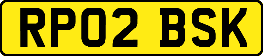 RP02BSK