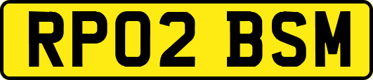 RP02BSM