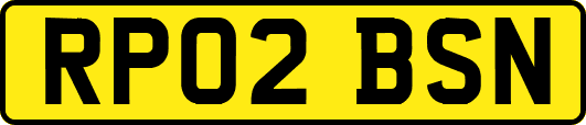 RP02BSN