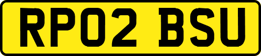 RP02BSU