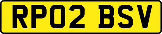 RP02BSV