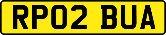 RP02BUA