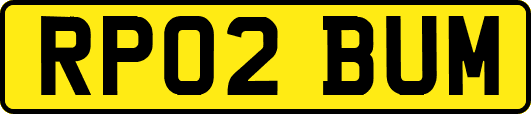 RP02BUM