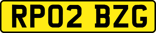 RP02BZG