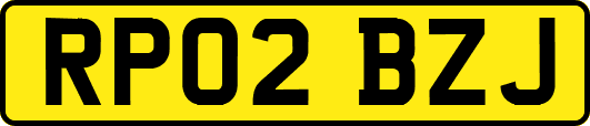 RP02BZJ