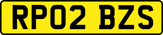 RP02BZS