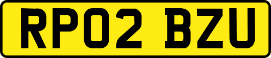 RP02BZU
