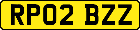 RP02BZZ
