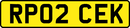 RP02CEK