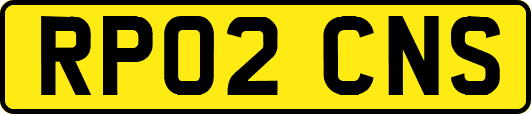 RP02CNS