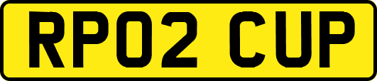RP02CUP