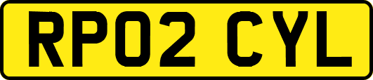 RP02CYL