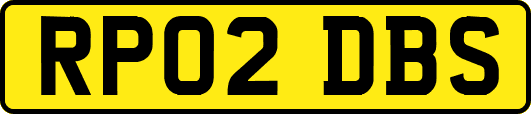 RP02DBS