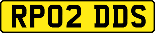 RP02DDS