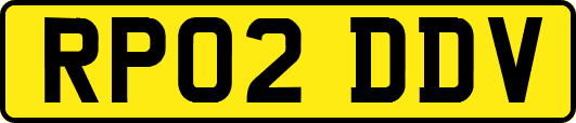RP02DDV