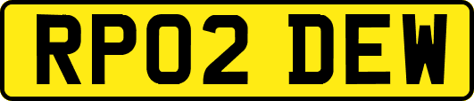 RP02DEW